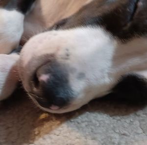 Meet your Posher, Charla